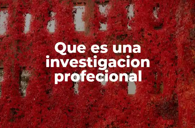 Que es una Investigacion Profecional