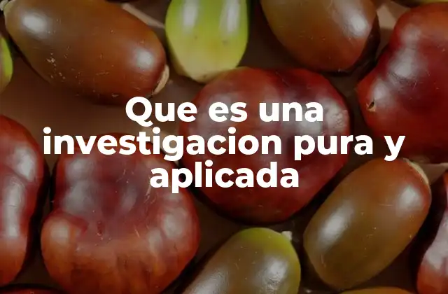 Que es una Investigacion Pura y Aplicada