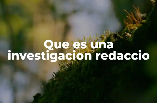 Que es una Investigacion Redaccio