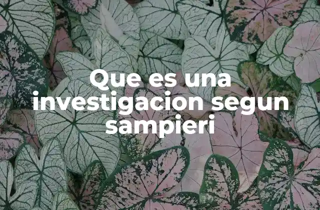 Que es una Investigacion Segun Sampieri