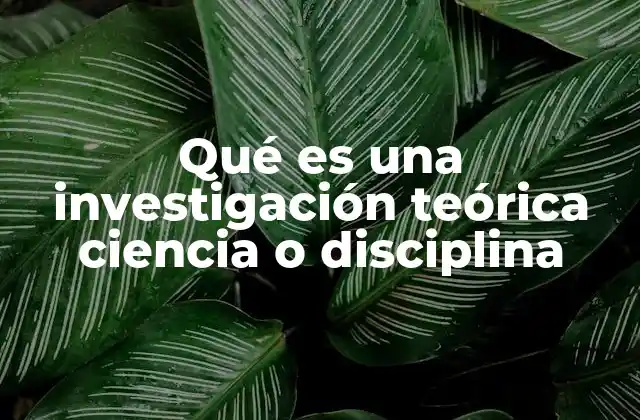 Qué es una Investigación Teórica Ciencia o Disciplina