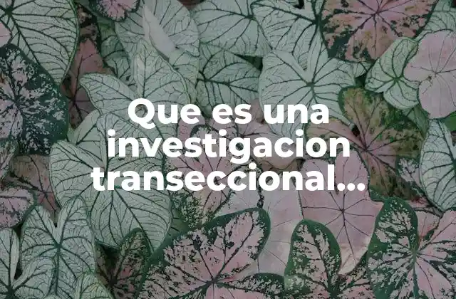 Que es una Investigacion Transeccional Descriptiva