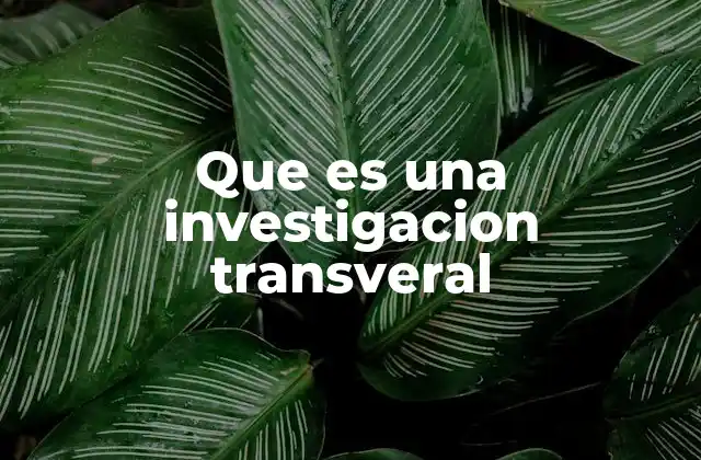 Que es una Investigacion Transveral