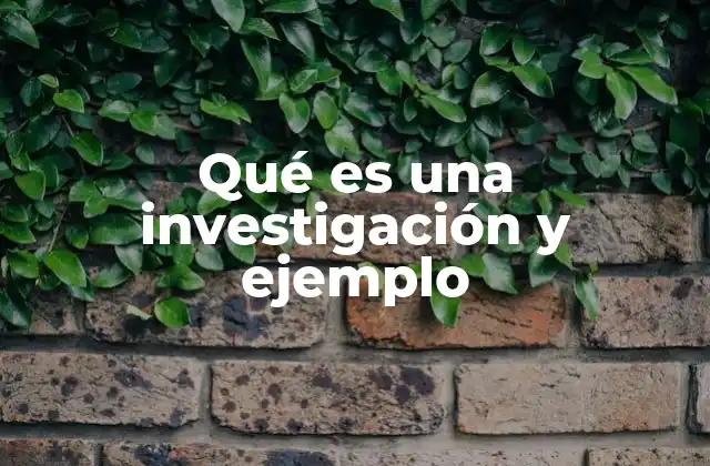 Qué es una Investigación y Ejemplo
