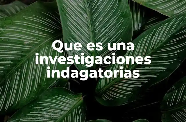 Que es una Investigaciones Indagatorias