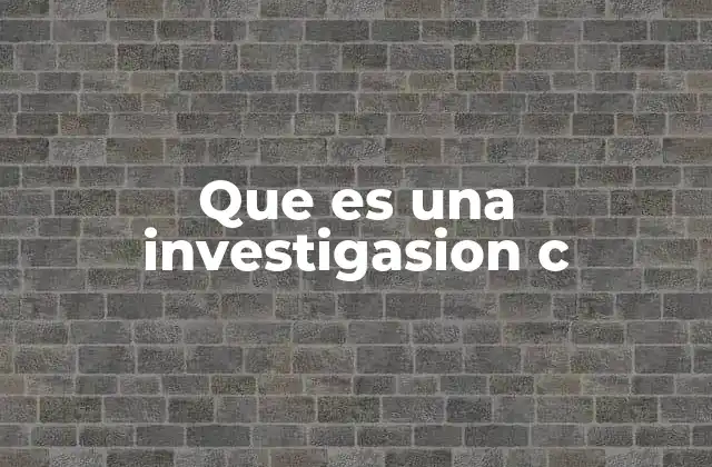 Que es una Investigasion C