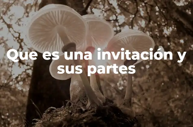 Que es una Invitación y Sus Partes