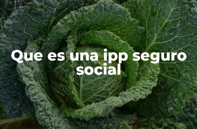 Que es una Ipp Seguro Social