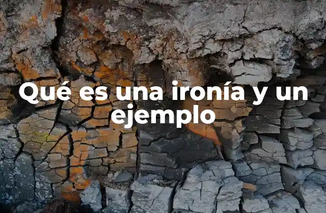 Qué es una Ironía y un Ejemplo 2 Cómo se expresa la ironía en el lenguaje cotidiano