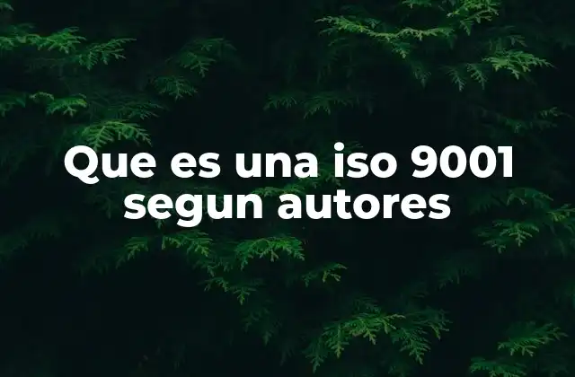Que es una Iso 9001 Segun Autores