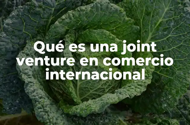 Qué es una Joint Venture en Comercio Internacional