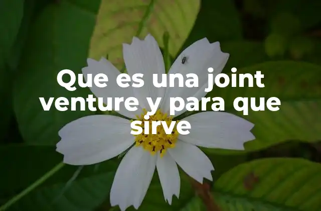 Cómo las empresas colaboran sin fusionarse