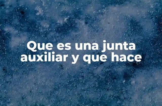 El rol de los órganos complementarios en la gobernanza empresarial