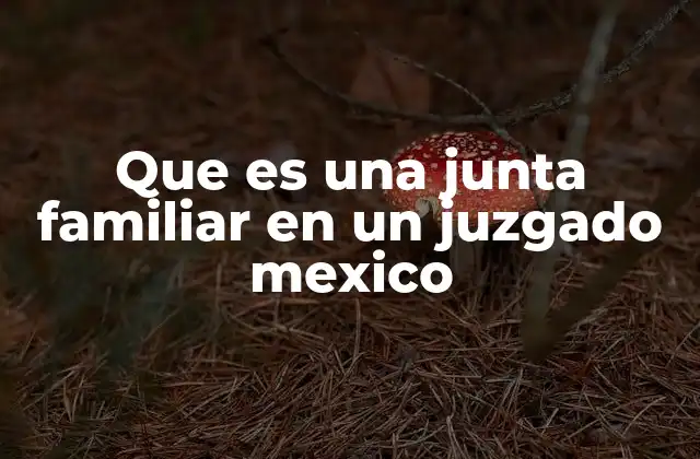 Que es una Junta Familiar en un Juzgado Mexico