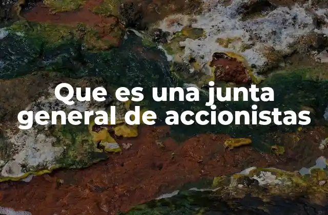 Que es una Junta General de Accionistas