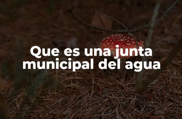 Que es una Junta Municipal Del Agua 2 La importancia de la gestión local del agua