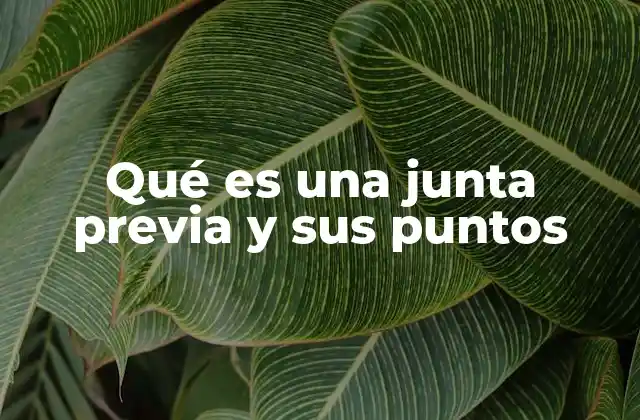 Qué es una Junta Previa y Sus Puntos