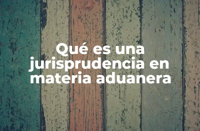 Qué es una Jurisprudencia en Materia Aduanera