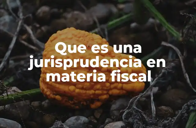 Que es una Jurisprudencia en Materia Fiscal