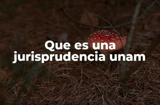 Que es una Jurisprudencia Unam