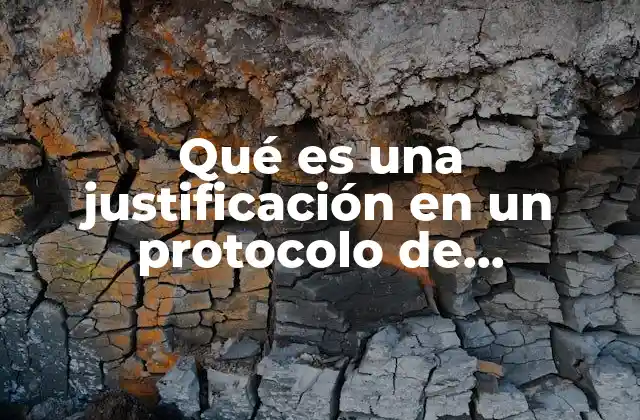 Qué es una Justificación en un Protocolo de Investigación