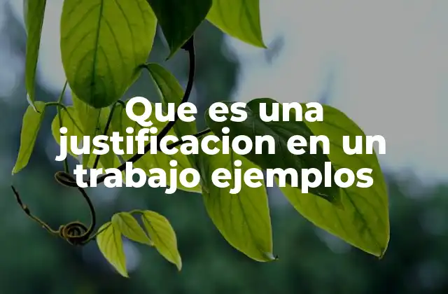 Que es una Justificacion en un Trabajo Ejemplos 2 La importancia de la justificación en la estructura de un trabajo