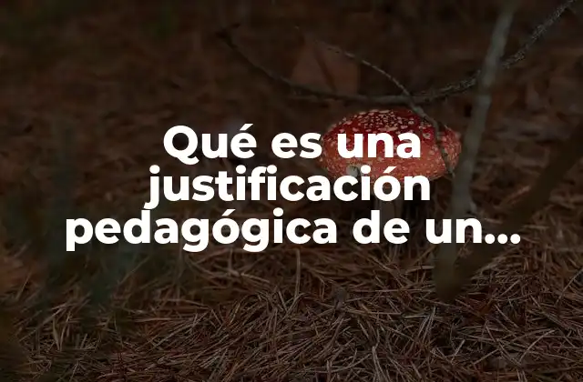 Qué es una Justificación Pedagógica de un Proyecto