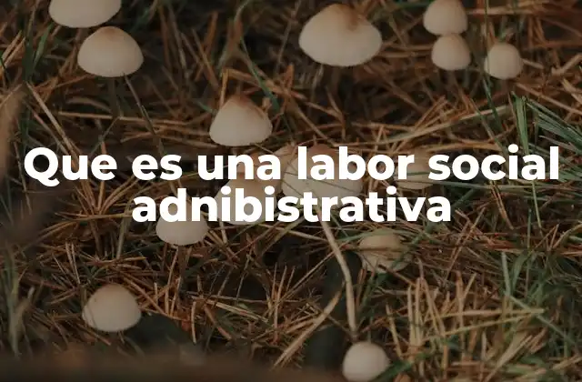 Que es una Labor Social Adnibistrativa
