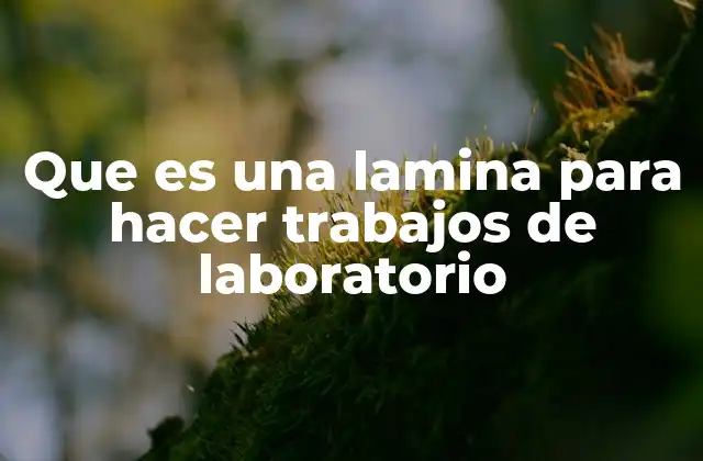 Que es una Lamina para Hacer Trabajos de Laboratorio