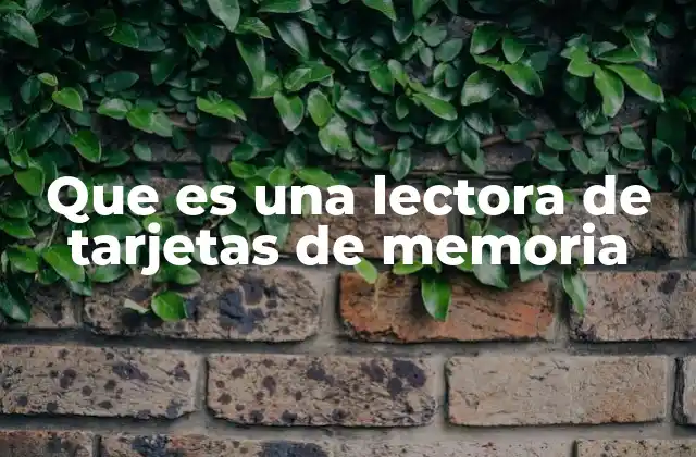 Que es una Lectora de Tarjetas de Memoria