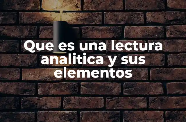 Que es una Lectura Analitica y Sus Elementos
