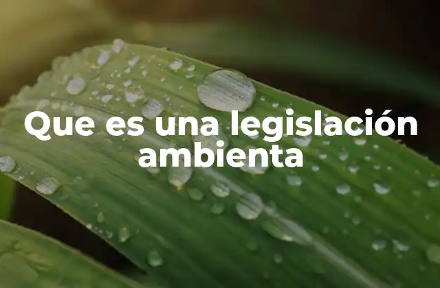 Que es una Legislación Ambienta