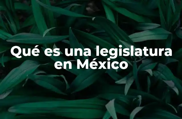 Qué es una Legislatura en México