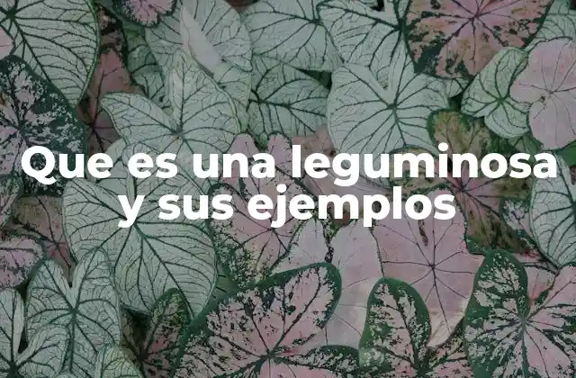 Que es una Leguminosa y Sus Ejemplos