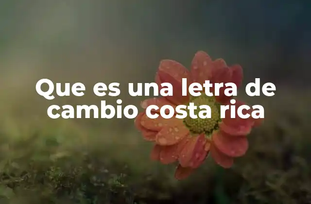 Que es una Letra de Cambio Costa Rica