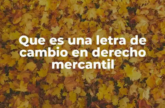 Que es una Letra de Cambio en Derecho Mercantil