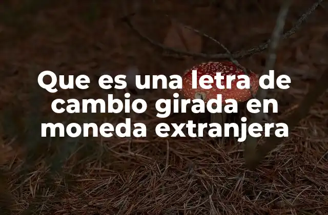 Que es una Letra de Cambio Girada en Moneda Extranjera