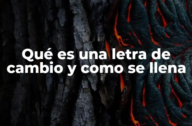 Qué es una Letra de Cambio y como Se Llena