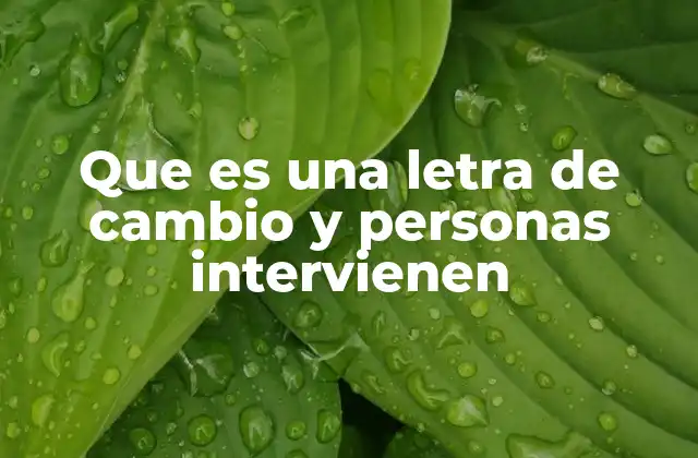 Que es una Letra de Cambio y Personas Intervienen