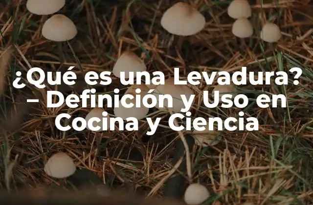 ¿qué es una Levadura? – Definición y Uso en Cocina y Ciencia