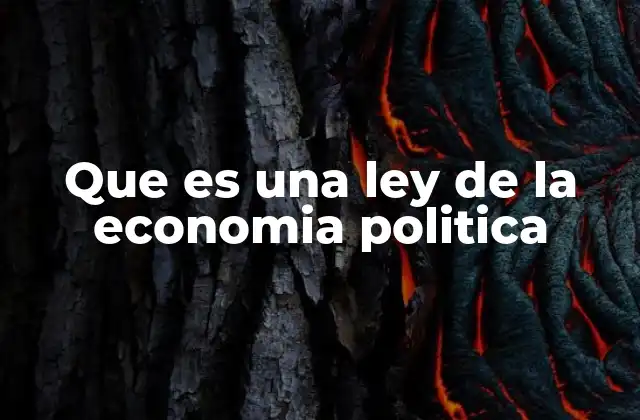 Que es una Ley de la Economia Politica
