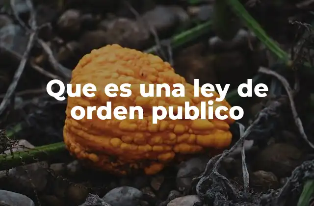 Que es una Ley de Orden Publico