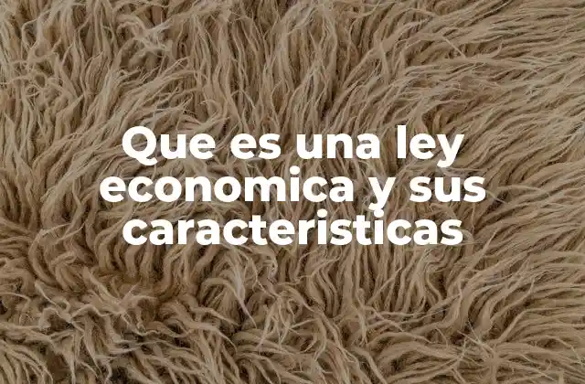 Que es una Ley Economica y Sus Caracteristicas