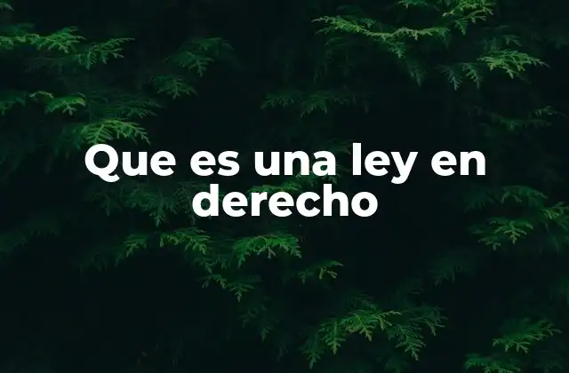 Que es una Ley en Derecho