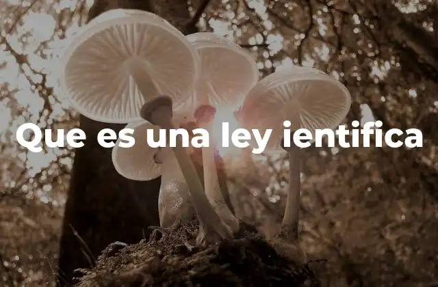 Que es una Ley Ientifica