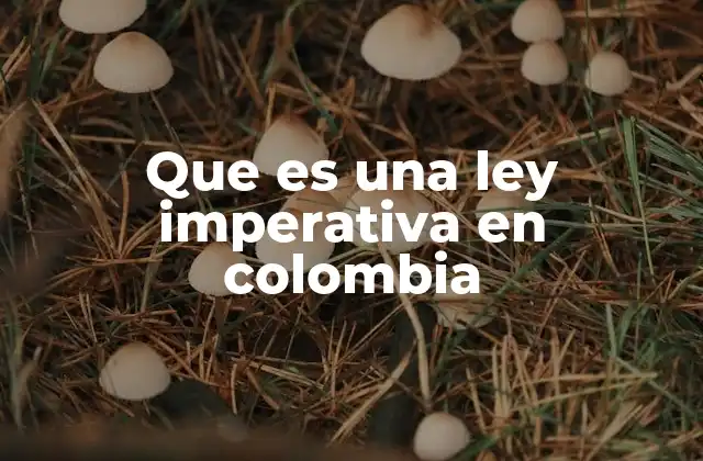 Que es una Ley Imperativa en Colombia