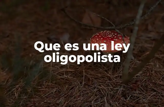 Que es una Ley Oligopolista 2 El equilibrio entre mercado y regulación