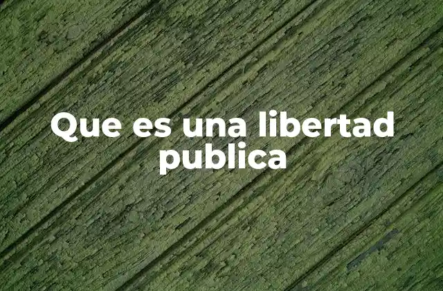 Que es una Libertad Publica 2 La importancia de las libertades en la sociedad moderna