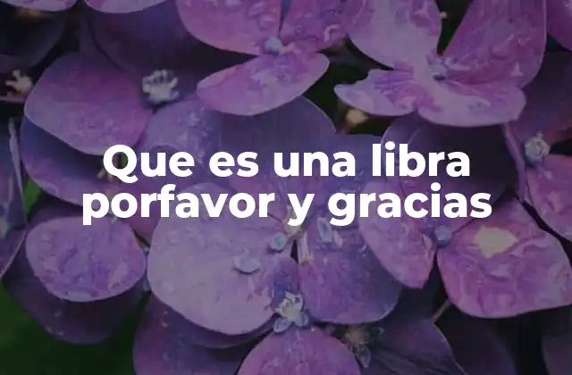 Que es una Libra Porfavor y Gracias