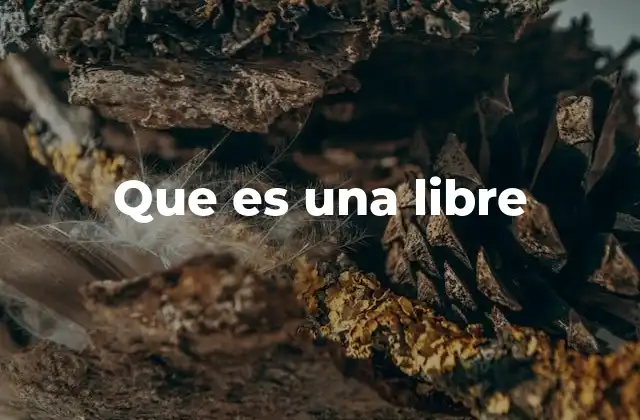 Que es una Libre